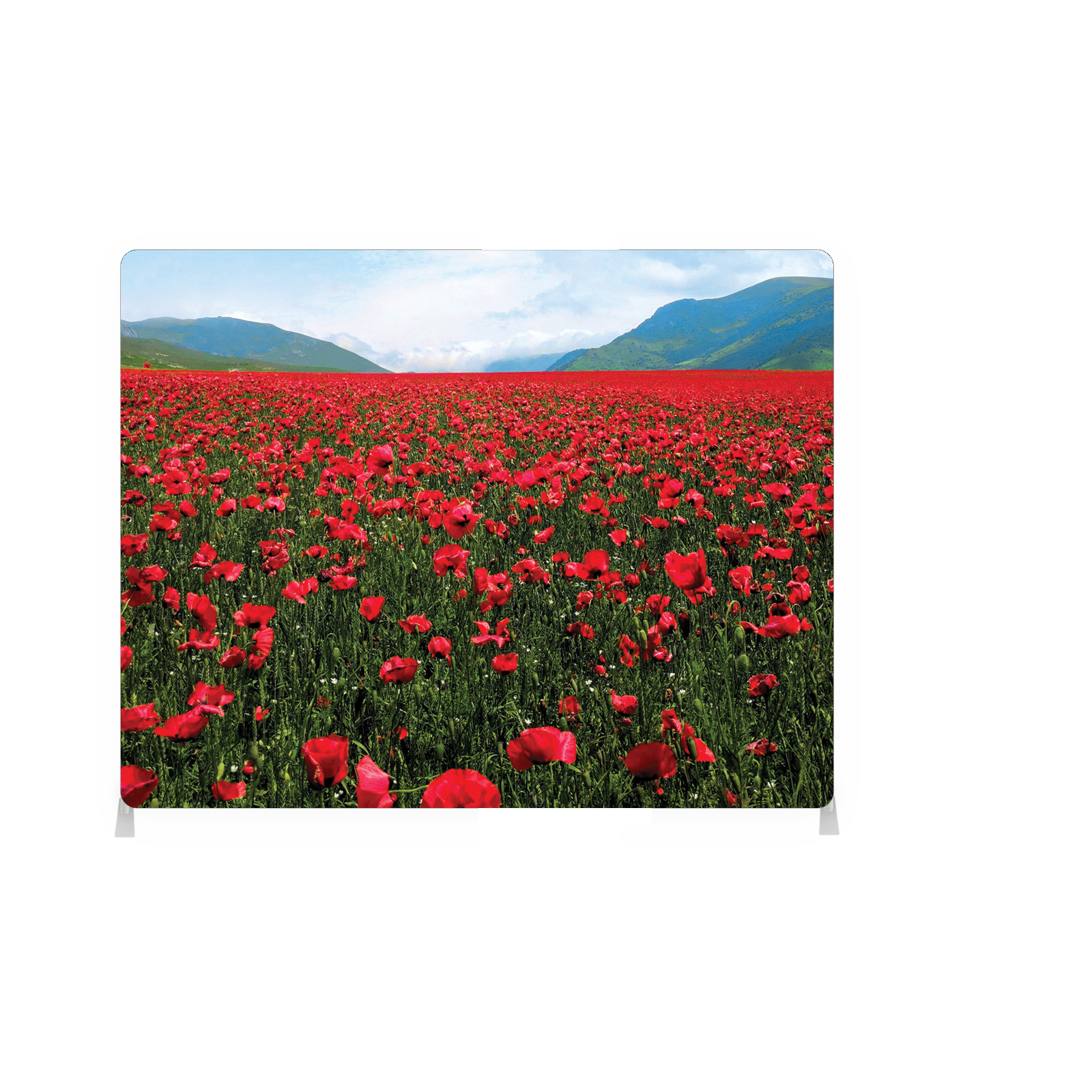 Poppy Field