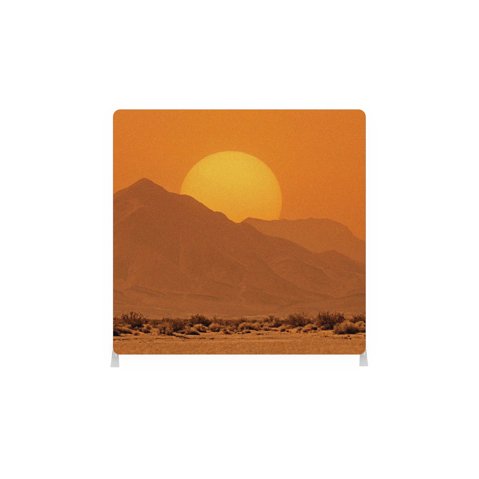 Desert Sunset